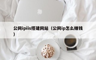 沙洋公网ipiis搭建网站（公网ip怎么赚钱）