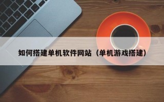 沙洋如何搭建单机软件网站（单机游戏搭建）
